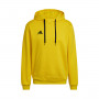 Kids Entrada 22 Hoody Team Gelb