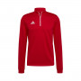Entrada 22 Training Power Red