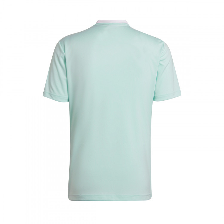 camiseta-adidas-entrada-22-mc-clear-mint-1.jpg