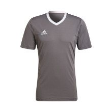Entrada 22 s/s T-Shirt Team graue Vier