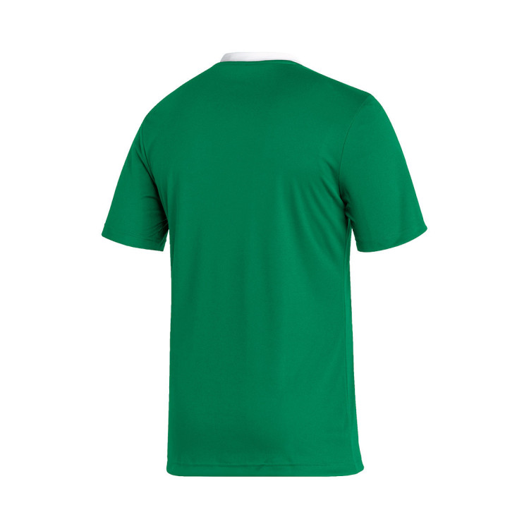 camiseta-adidas-entrada-22-mc-team-green-1