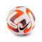 Nike Flight Ball