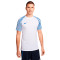 Nike Dri-Fit Academy s/s T-Shirt