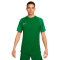 Nike Dri-Fit Academy s/s T-Shirt
