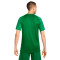 Nike Dri-Fit Academy s/s T-Shirt