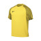 Nike Dri-Fit Academy s/s T-Shirt