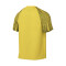 Nike Dri-Fit Academy s/s T-Shirt