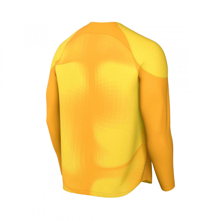 camiseta-nike-gardien-iv-gk-ml-tour-yellow-university-gold-1