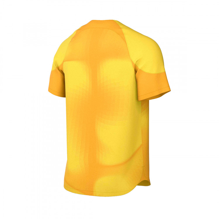camiseta-nike-gardien-iv-gk-mc-tour-yellow-university-gold-1.jpg