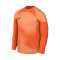 Maillot Nike Enfants Gardien IV GK m/l 