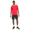 Nike Dri-Fit Park 20 s/s Polo shirt