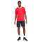 Nike Dri-Fit Park 20 s/s Polo Shirt