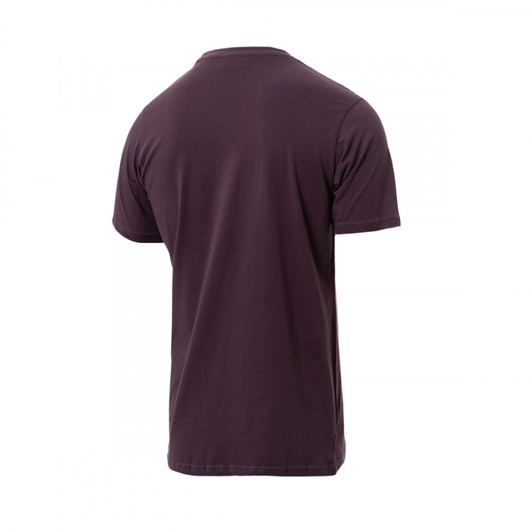 camiseta-reell-staple-logo-t-shirt-mauve-purple-1.jpg