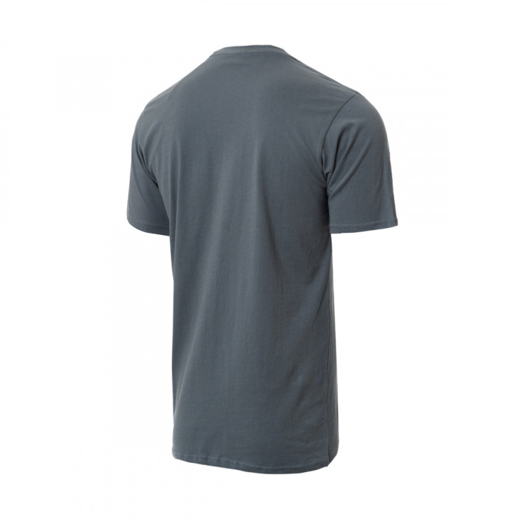 camiseta-reell-staple-logo-t-shirt-lead-blue-blue-1.jpg