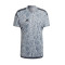 Camiseta Condivo 22 GK m/c Light Grey
