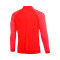 Chamarra Nike Academy Pro 22