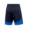 Nike Academy Pro 22 Shorts