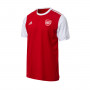 Arsenal FC Fanswear 2022-2023 Scarlet