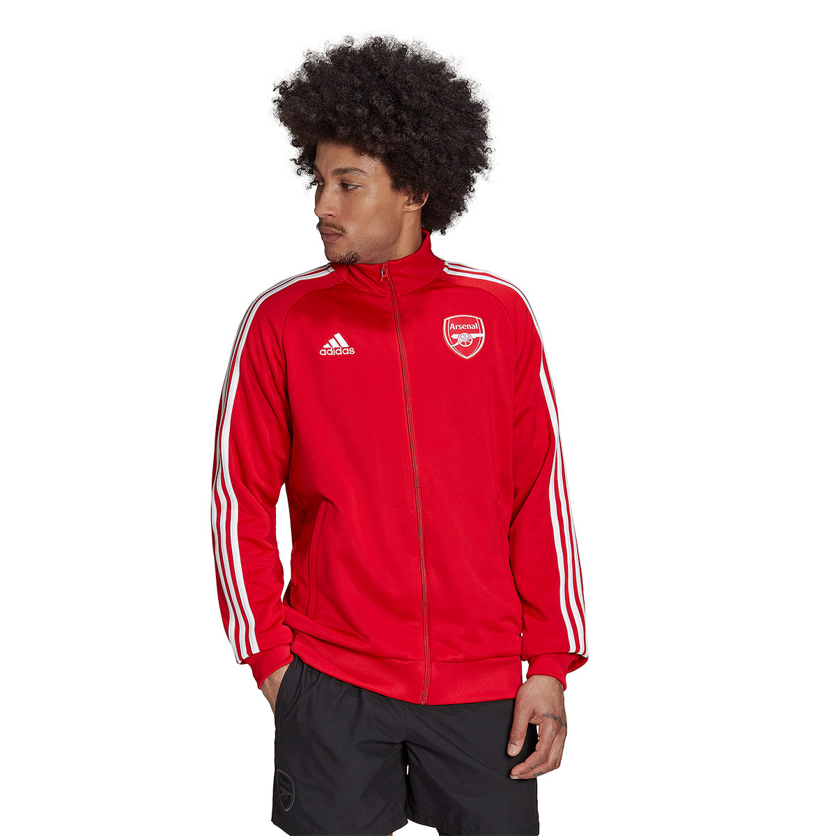 Jacket adidas Arsenal FC Fanswear 2022 