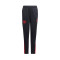 Pantalón largo FC Bayern de Múnich Training 2022-2023 Niño Night Grey