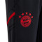 Pantalón largo FC Bayern de Múnich Training 2022-2023 Niño Night Grey