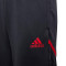 Pantalón largo FC Bayern de Múnich Training 2022-2023 Niño Night Grey