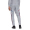 Pantalón largo Olympique de Lyon Training 2022-2023 Halo Silver