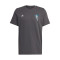 Camiseta Messi Graphic Grey Five