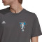 Camiseta Messi Graphic Grey Five