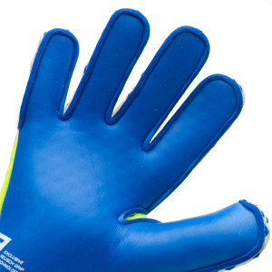 PALME-0