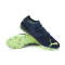 Chaussure de foot Puma Future 2.4 MG