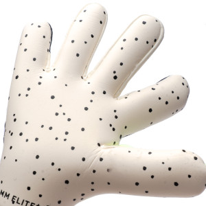 PALM-0