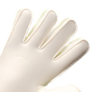 PALM-0