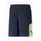 Short Puma IndividualFINAL Training