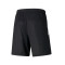 Puma TeamLIGA-training Shorts