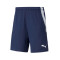 Puma TeamLIGA Training Shorts