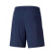 Short Puma TeamLIGA Training
