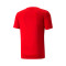 Camiseta Puma IndividualRISE Graphic