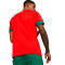 Koszulka Puma Marruecos Primera Equipación Mundial Qatar 2022