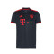 Camiseta FC Bayern de Múnich Tercera Equipación 2022-2023 Niño Night Grey