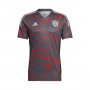 FC Bayern de Múnich Training 2022-2023 Red-Grey Six