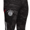 Pantalón largo FC Bayern de Múnich Training 2022-2023 Grey Six-Black