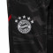 Pantalón largo FC Bayern de Múnich Training 2022-2023 Niño Grey Six-Black
