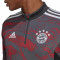 Sudadera FC Bayern de Múnich Training 2022-2023 Red-Grey Six