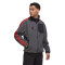 Chaqueta FC Bayern de Múnich Fanswear 2022-2023 Grey Six