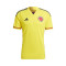 Camiseta Colombia Primera Equipación Mundial Qatar 2022 Bright Yellow