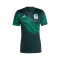 Camiseta México Pre-Match Mundial Qatar 2022 Green Night-Vivid Green