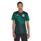 Camiseta México Pre-Match Mundial Qatar 2022 Green Night-Vivid Green