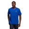 Camiseta Juventus FC Fanswear 2022-2023 Collegiate Royal