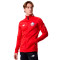 Chamarra New Balance Lille OSC Pre-Match 2022-2023